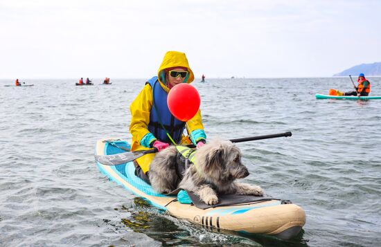 Russia Siberia SUP Board Event