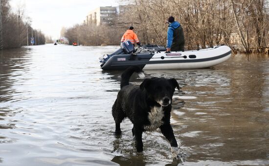 Russia Floods