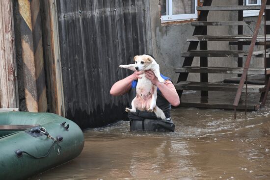 Russia Orenburg Floods