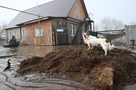 Russia Orenburg Floods