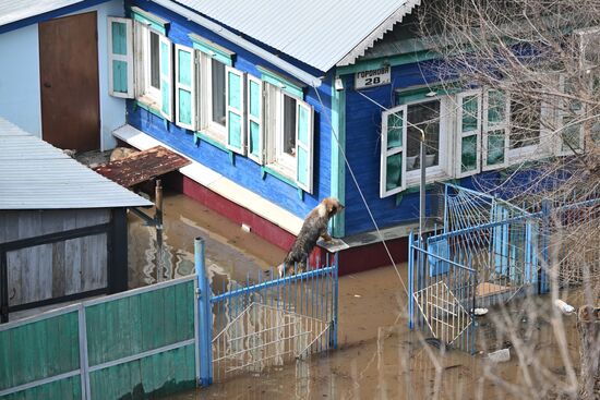 Russia Orenburg Floods