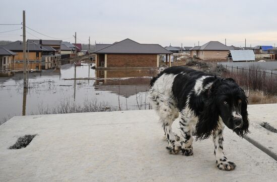 Russia Orenburg Floods