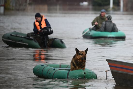 Russia Orenburg Floods