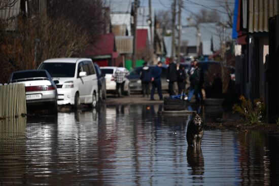 Russia Orenburg Floods