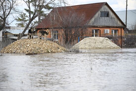 Russia Orenburg Floods