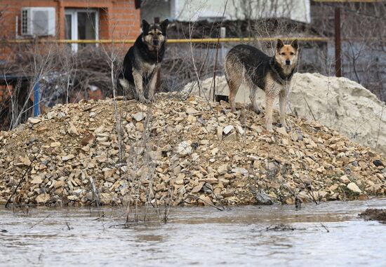 Russia Orenburg Floods