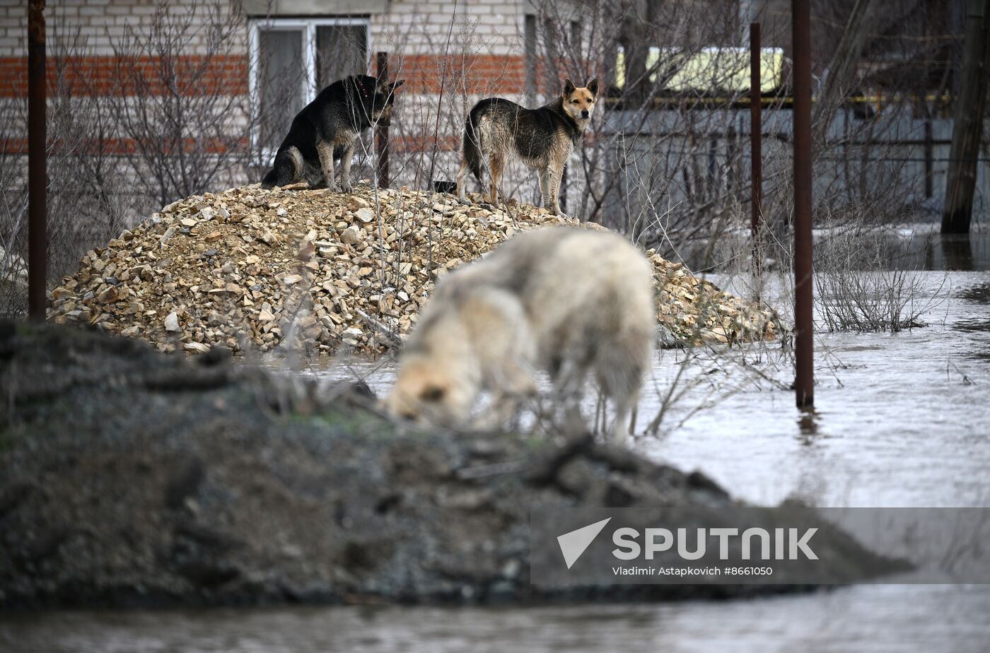 Russia Orenburg Floods