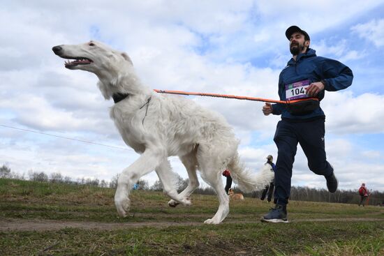 Russia Dog Run