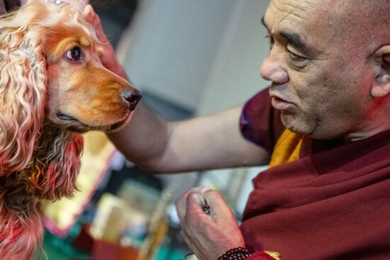 Russia Buddhist Festival