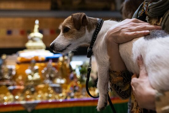 Russia Buddhist Festival