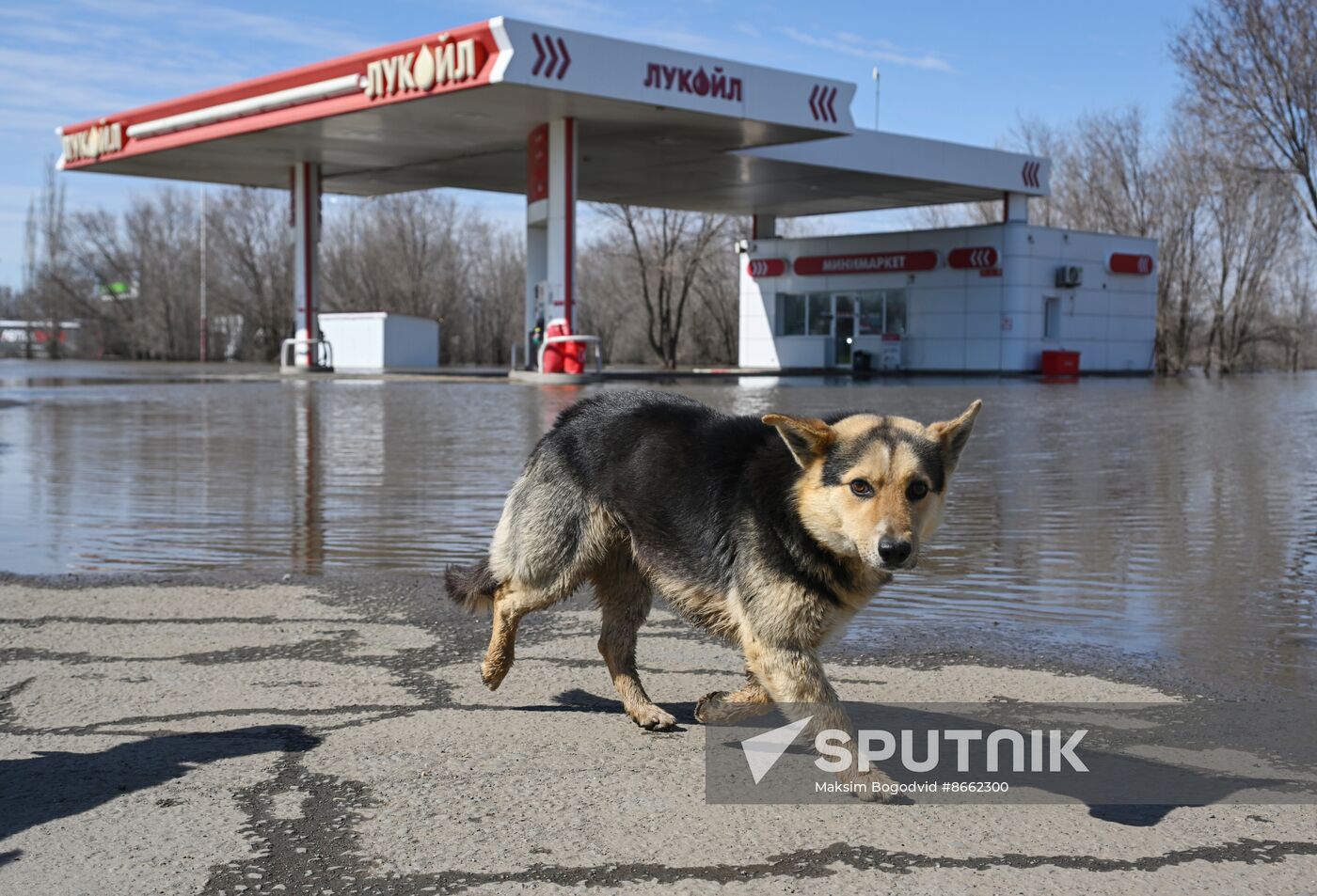 Russia Orenburg Floods