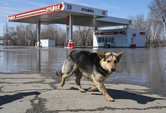 Russia Orenburg Floods