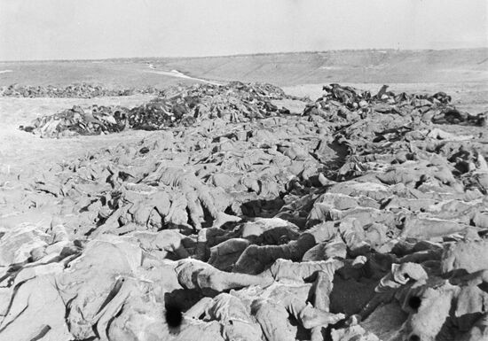 Great Patriotic War, 1941-1945