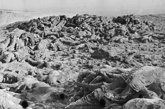 Great Patriotic War, 1941-1945