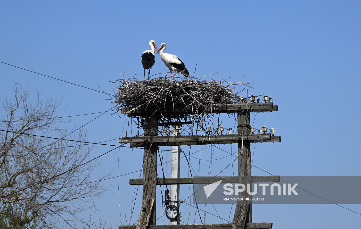 Russia Ukraine Military Operation Shelling