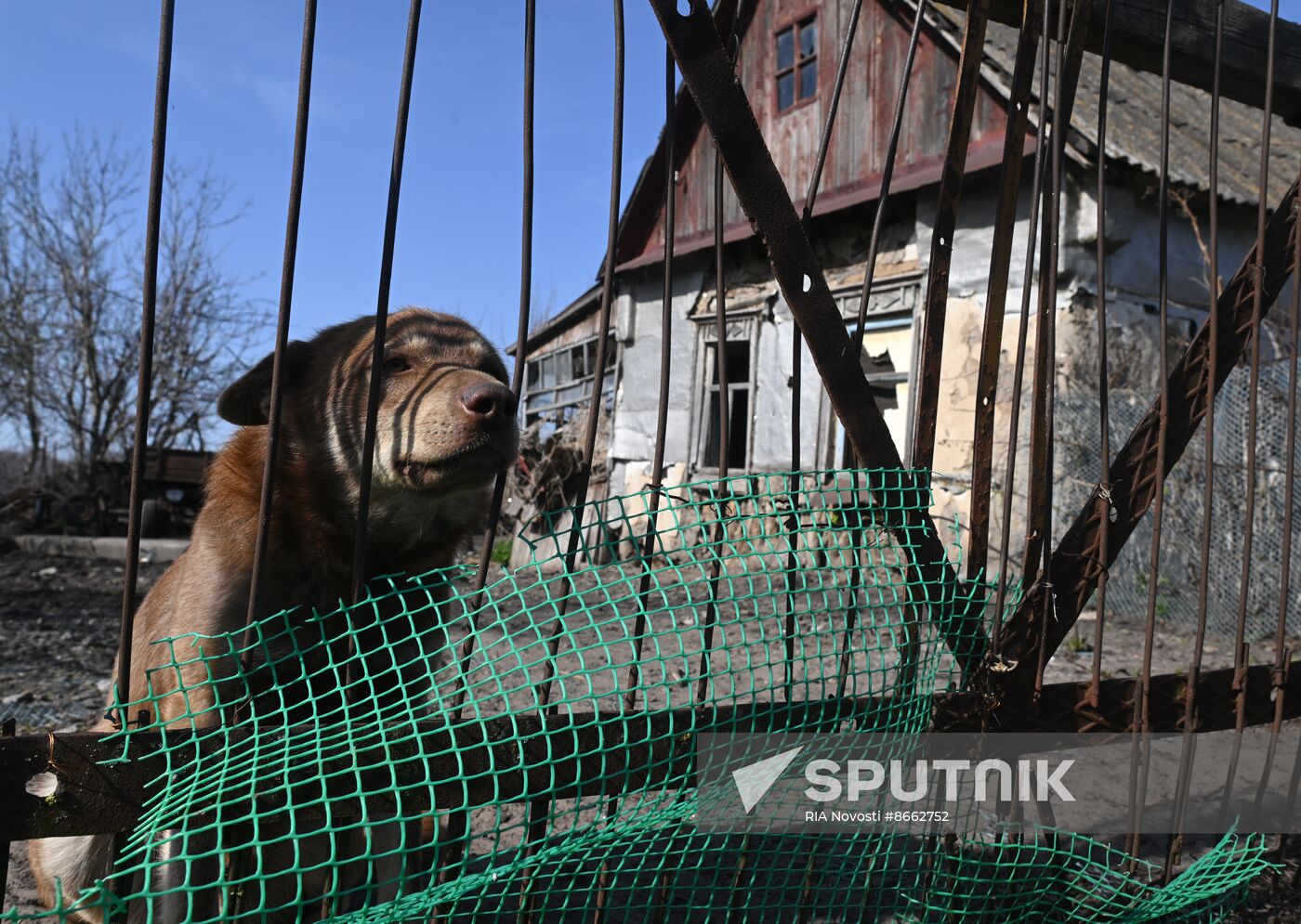 Russia Ukraine Military Operation Shelling