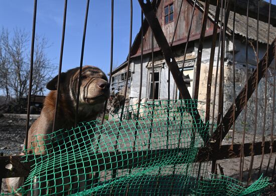 Russia Ukraine Military Operation Shelling