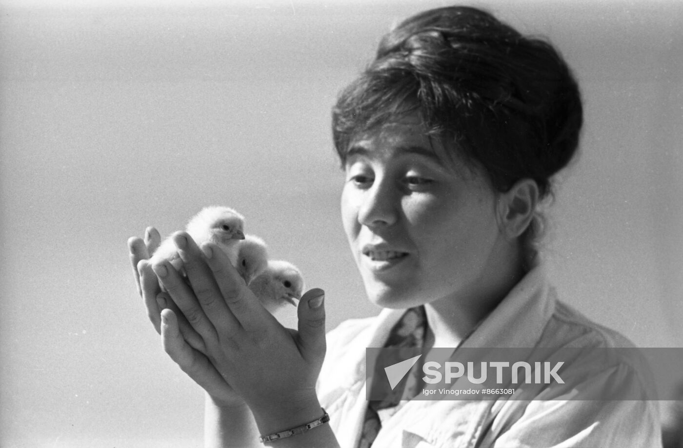 Dzerzhinsky Krasnoye poultry state farm in Crimea