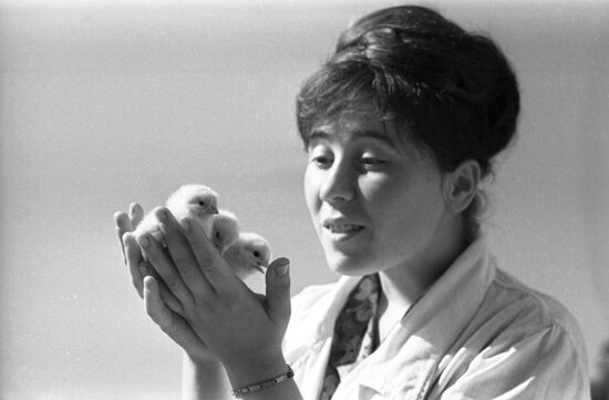 Dzerzhinsky Krasnoye poultry state farm in Crimea