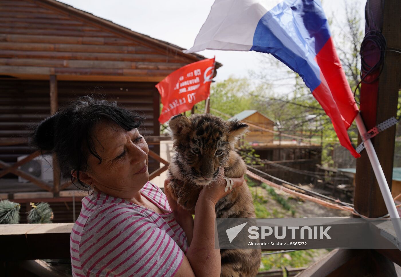 Russia DPR Zoo Tiger Cubs