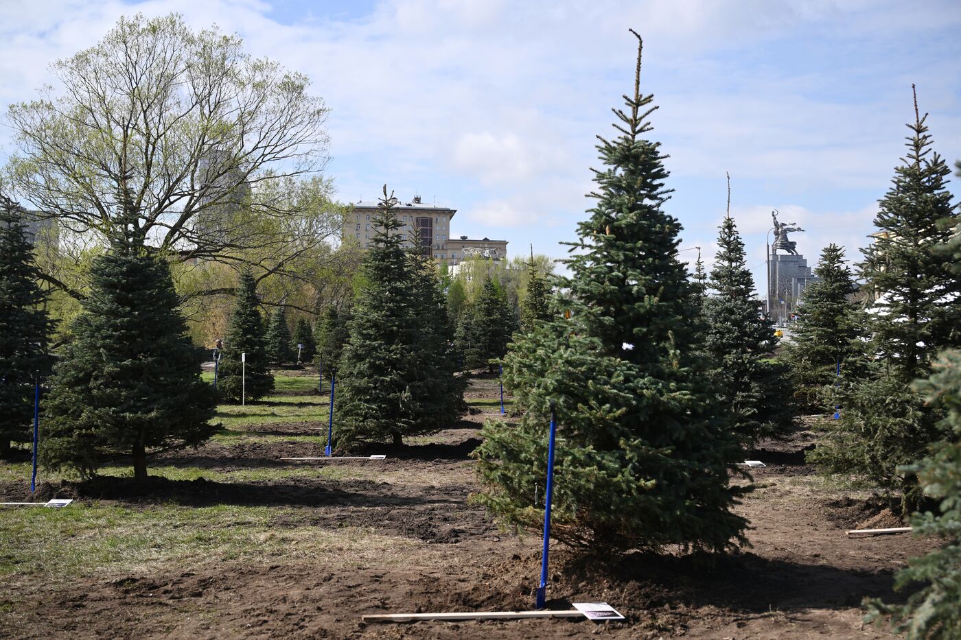 RUSSIA EXPO. Spruce Alley community work day