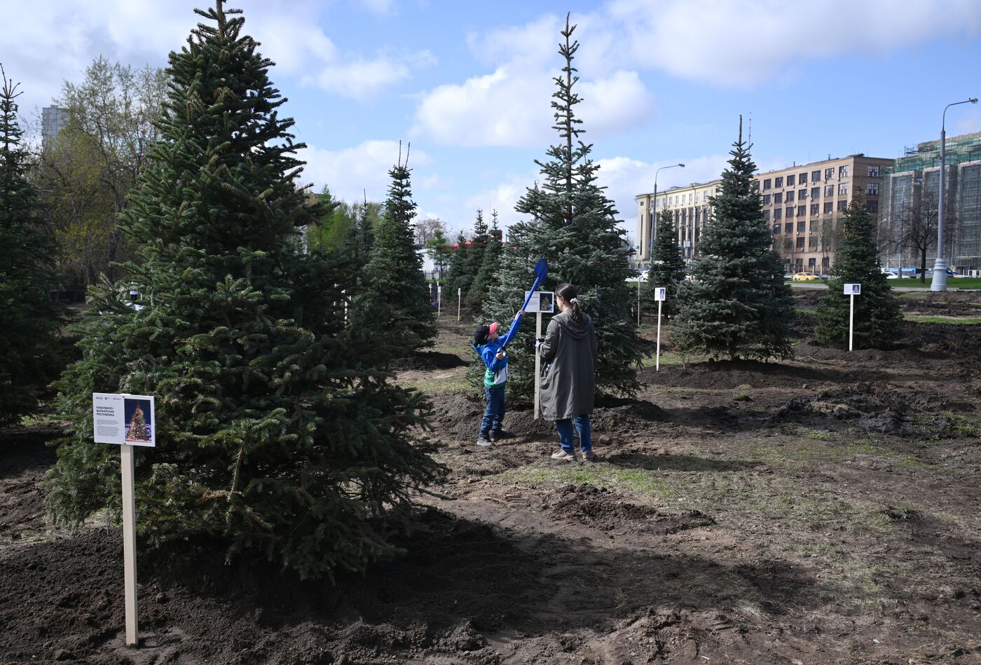 RUSSIA EXPO. Spruce Alley community work day