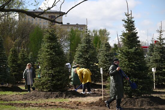 RUSSIA EXPO. Spruce Alley community work day