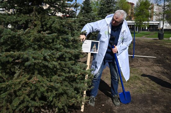 RUSSIA EXPO. Spruce Alley community work day