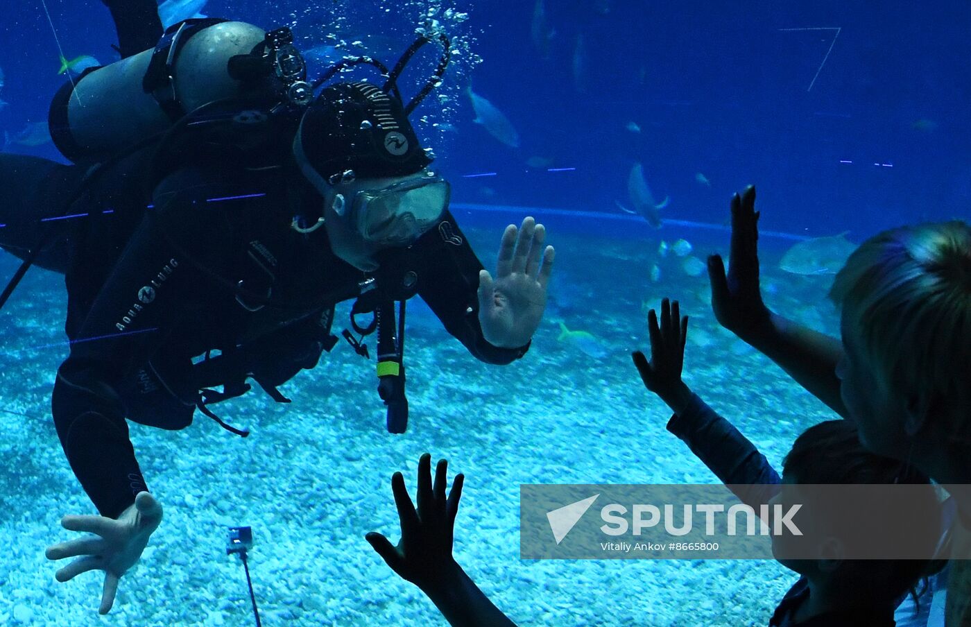 Russia Far East Aquarium