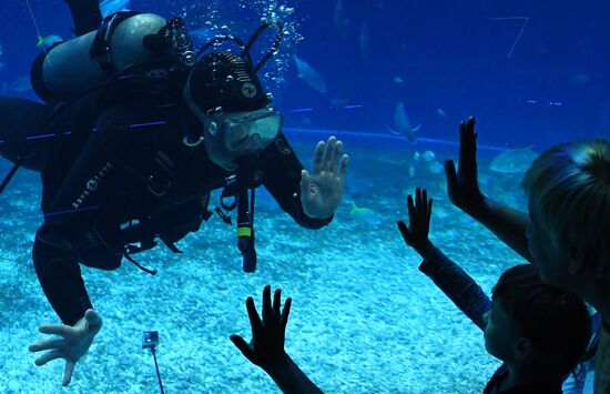 Russia Far East Aquarium