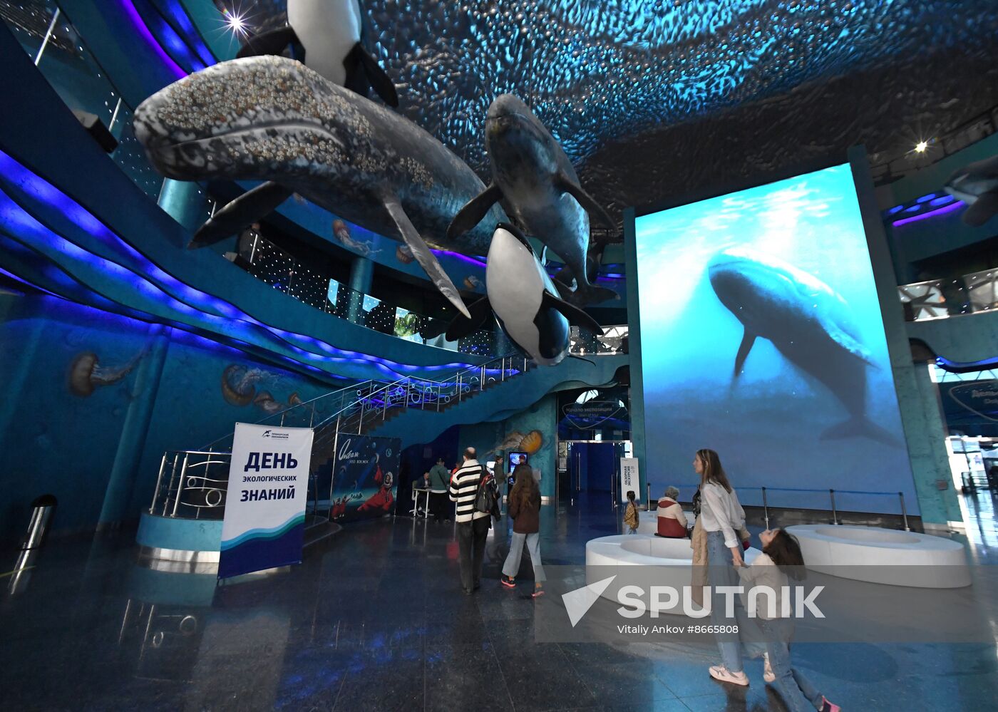 Russia Far East Aquarium