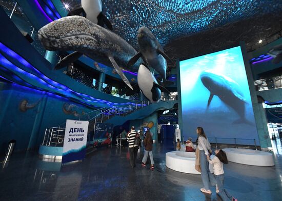 Russia Far East Aquarium