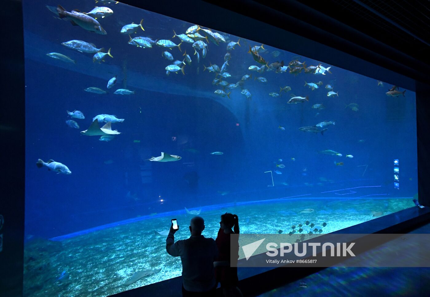 Russia Far East Aquarium