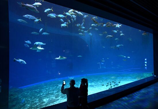 Russia Far East Aquarium