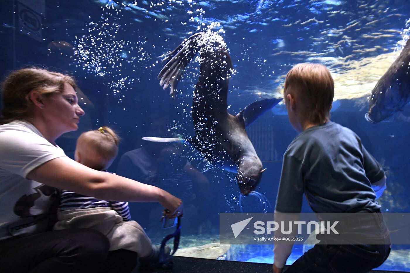 Russia Far East Aquarium