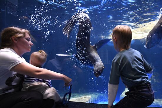 Russia Far East Aquarium