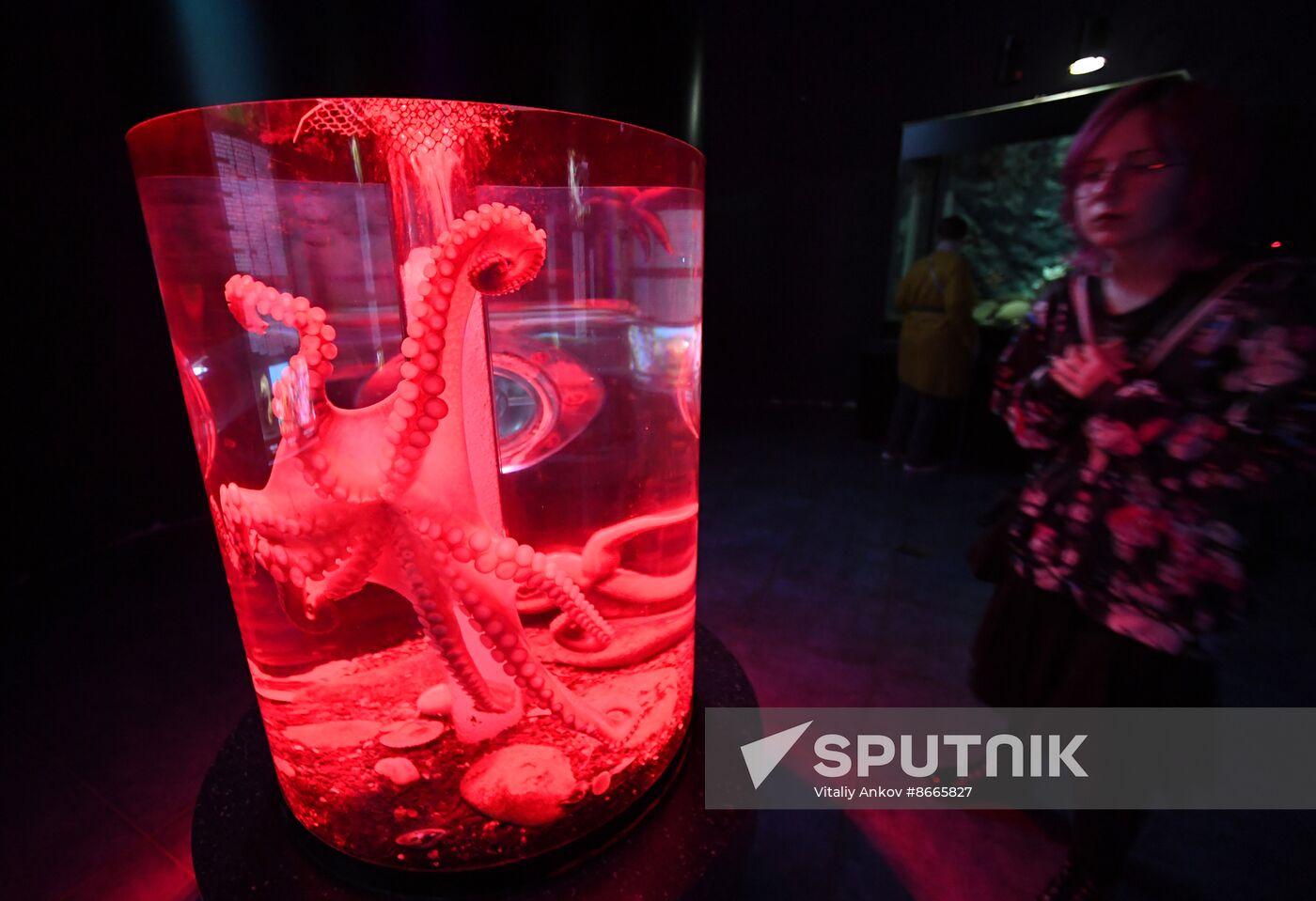 Russia Far East Aquarium