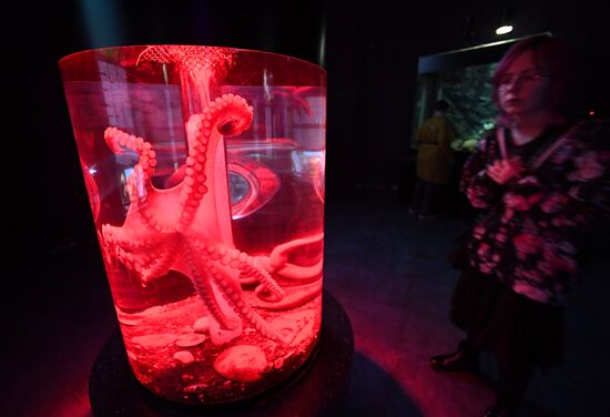 Russia Far East Aquarium