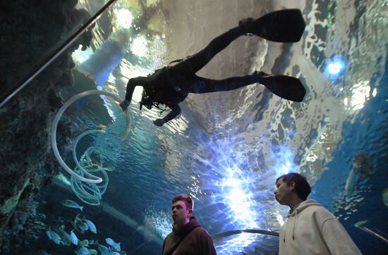 Russia Far East Aquarium