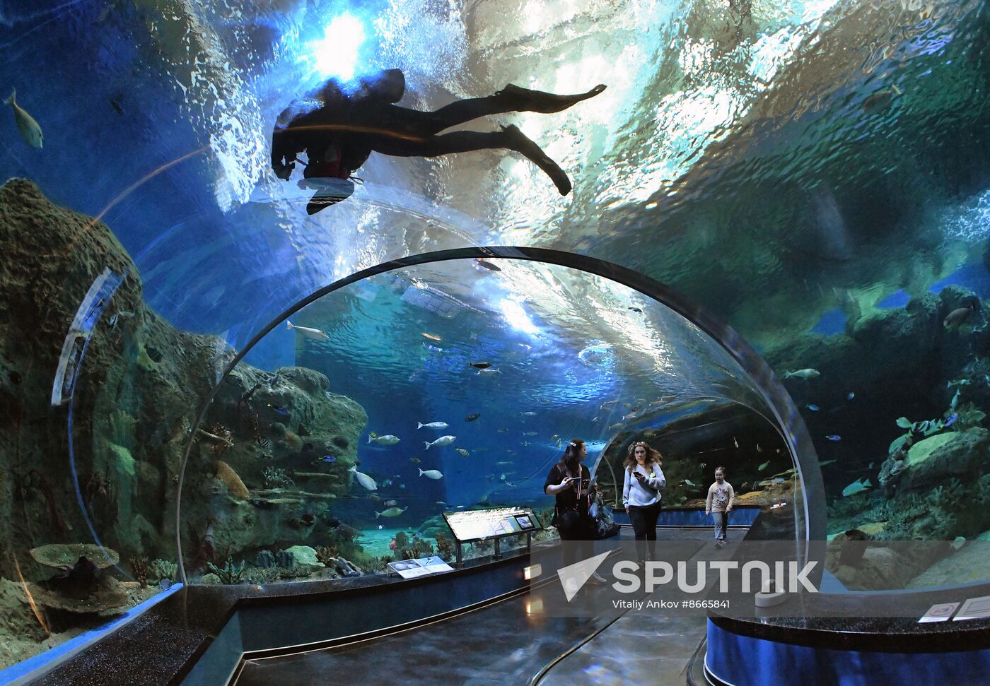 Russia Far East Aquarium