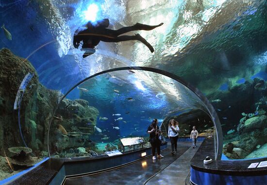 Russia Far East Aquarium