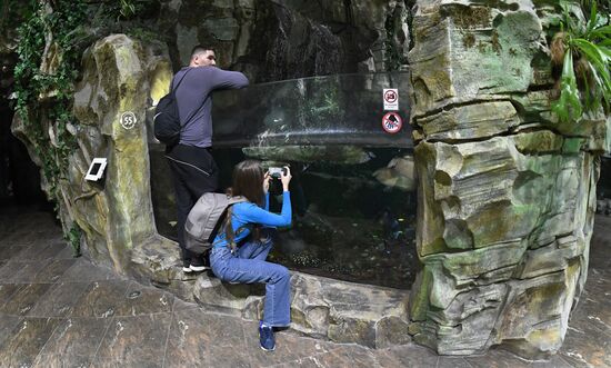 Russia Far East Aquarium