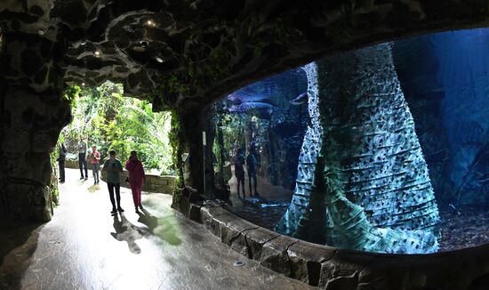 Russia Far East Aquarium