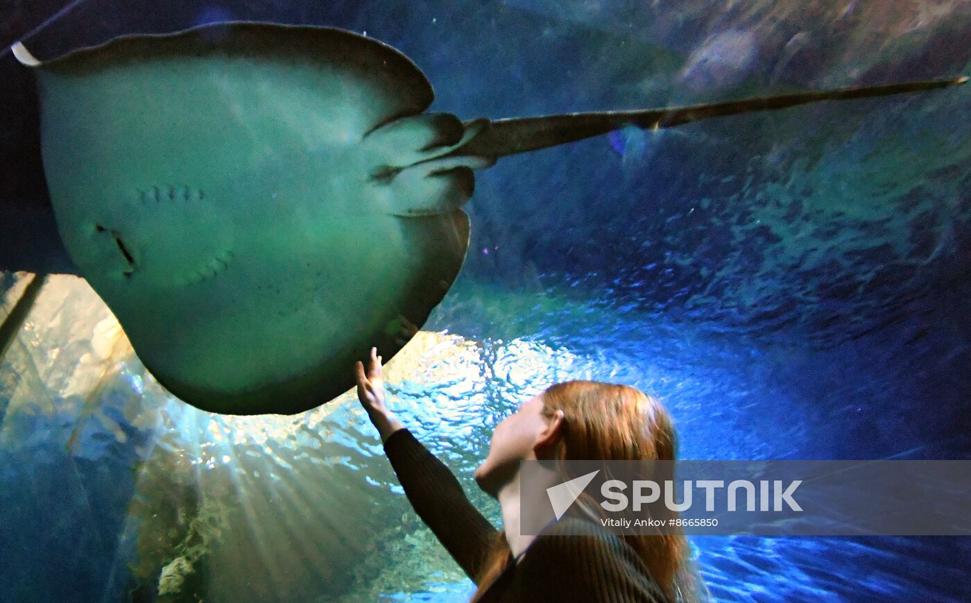 Russia Far East Aquarium