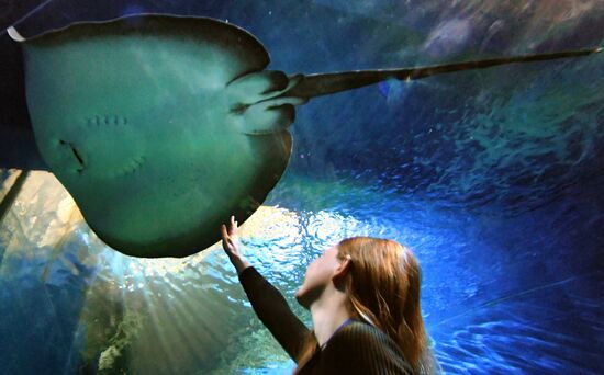 Russia Far East Aquarium