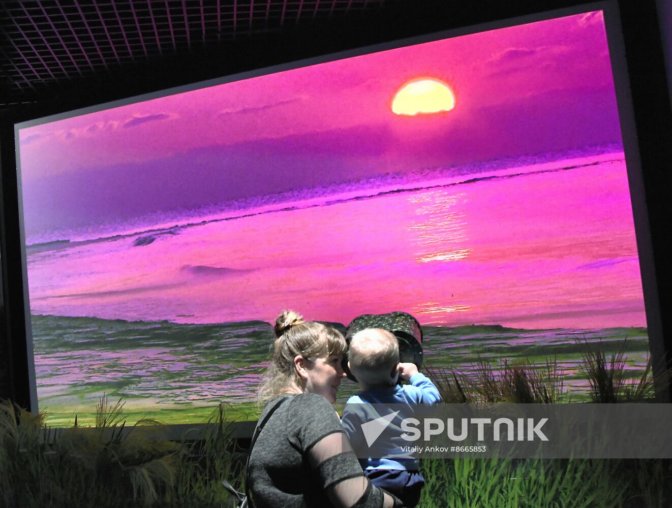 Russia Far East Aquarium