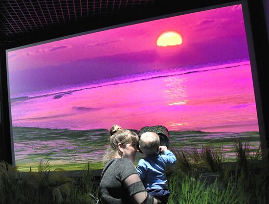 Russia Far East Aquarium