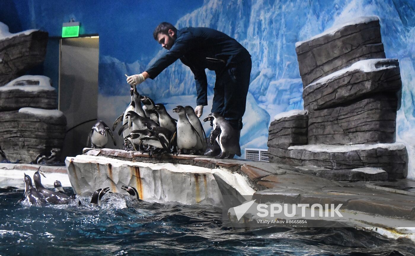 Russia Far East Aquarium