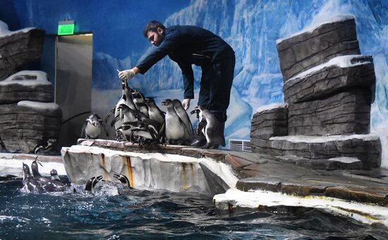 Russia Far East Aquarium