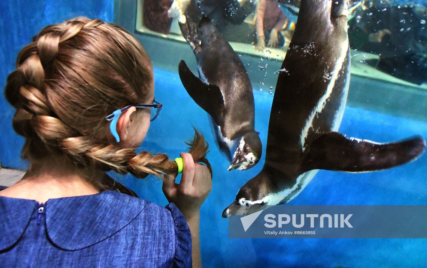 Russia Far East Aquarium